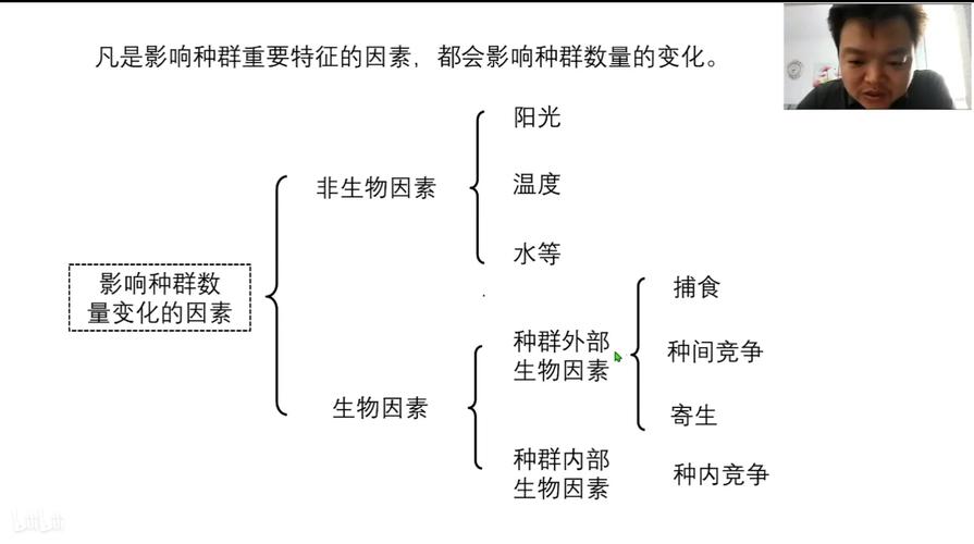 数量因素