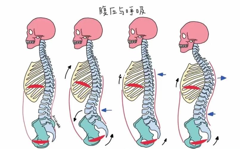 腹部压力