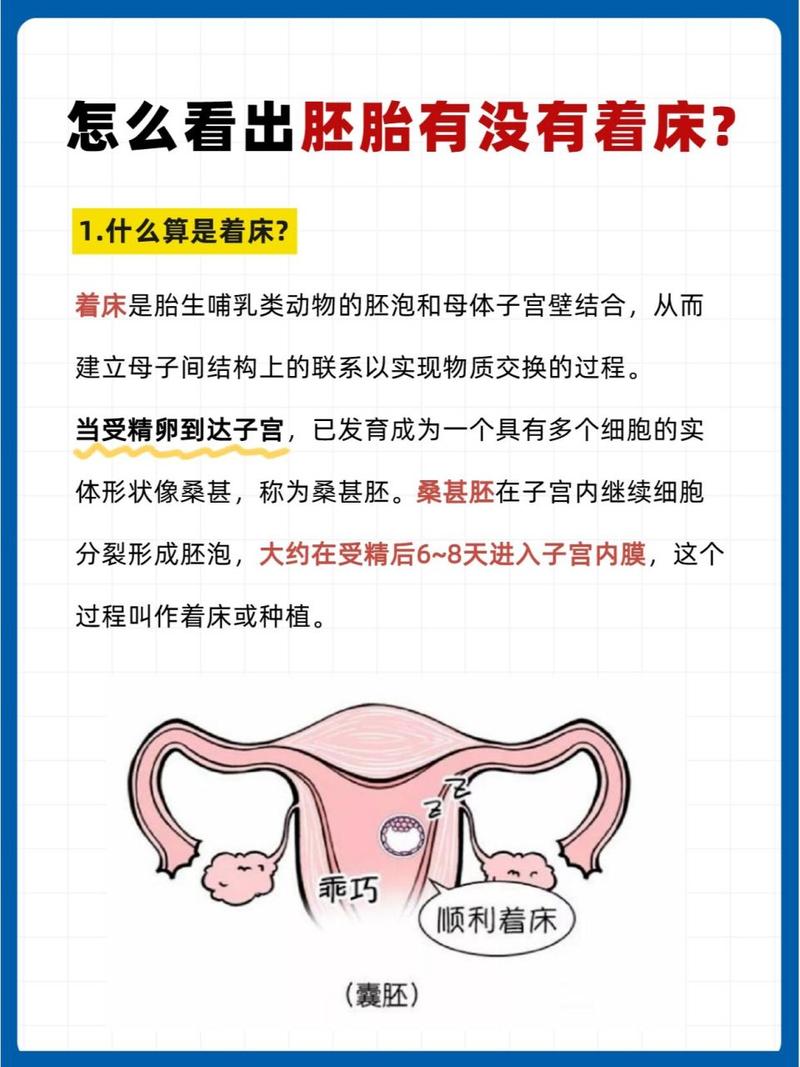 试管婴儿能否提前着床？探讨影响因素与解决方法