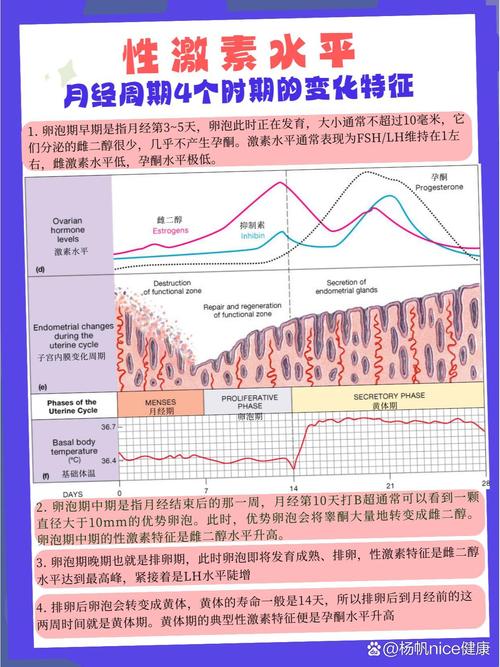 激素水平变化