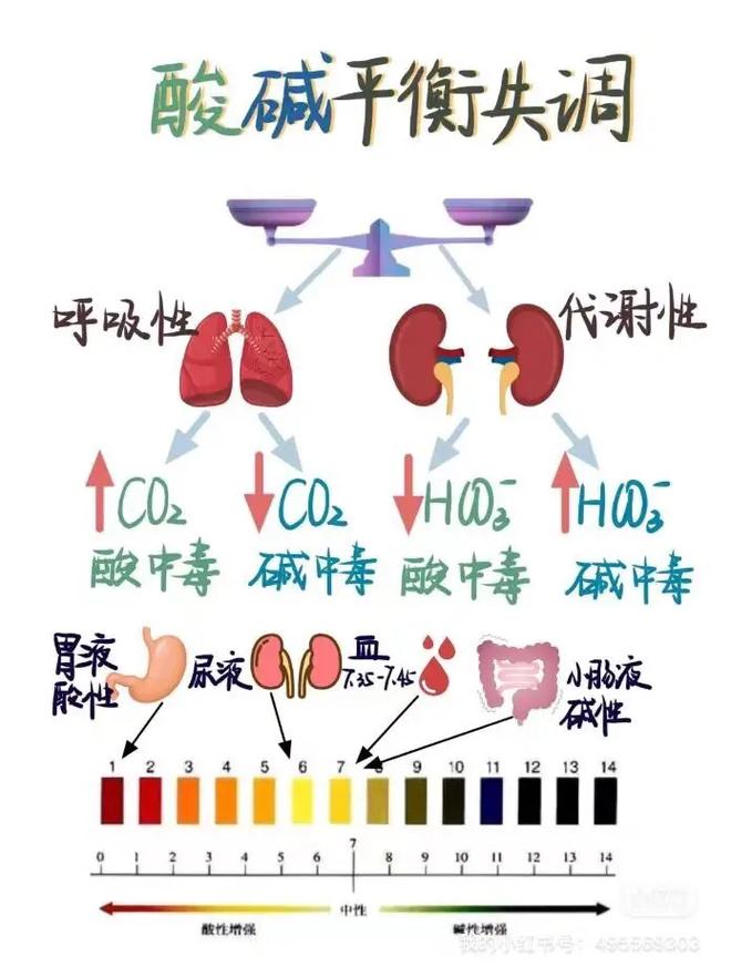 酸碱平衡