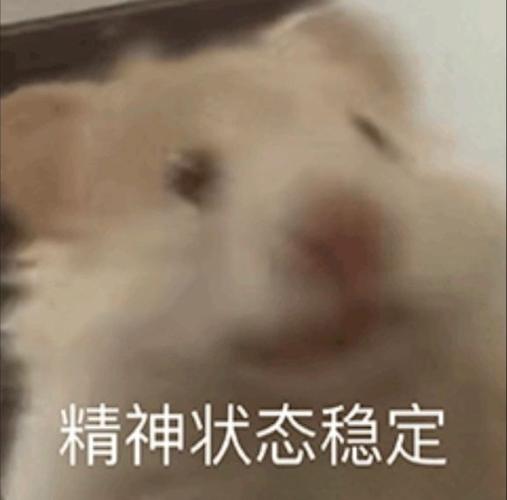 稳定状态