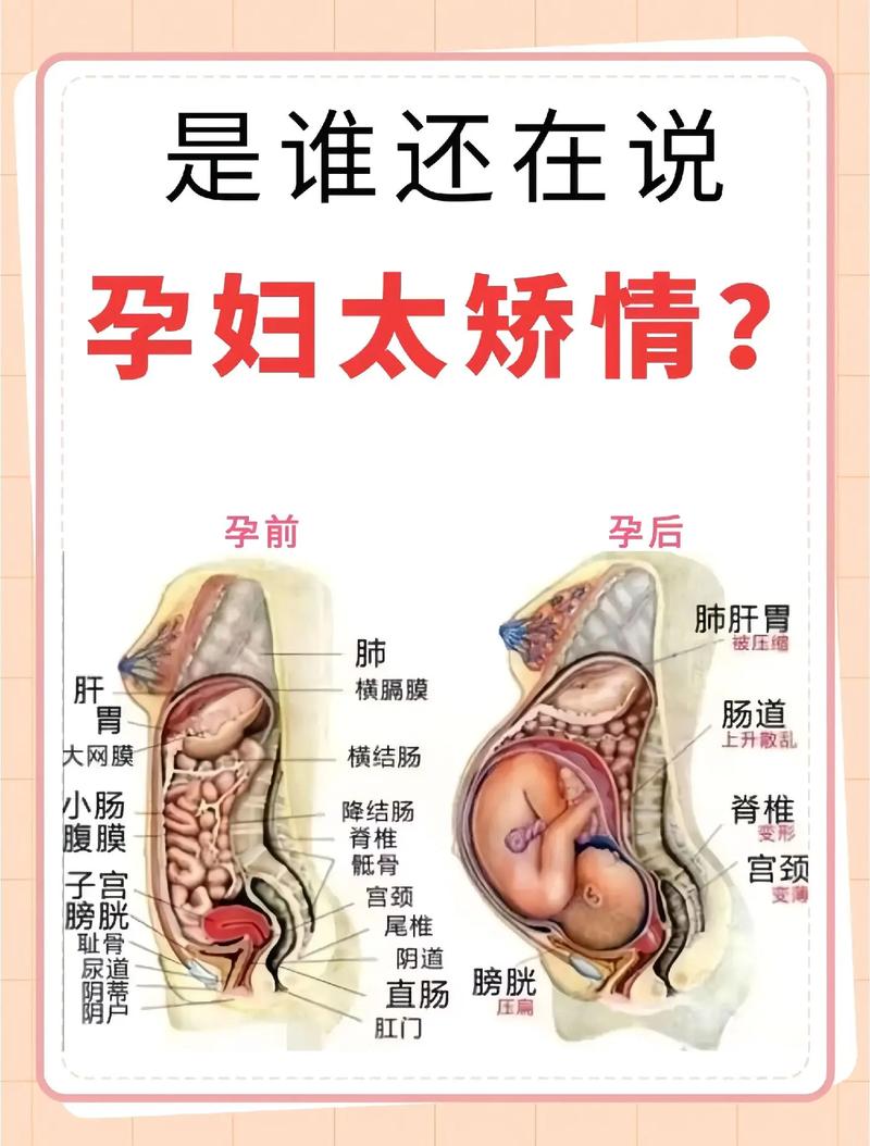 亲自怀孕