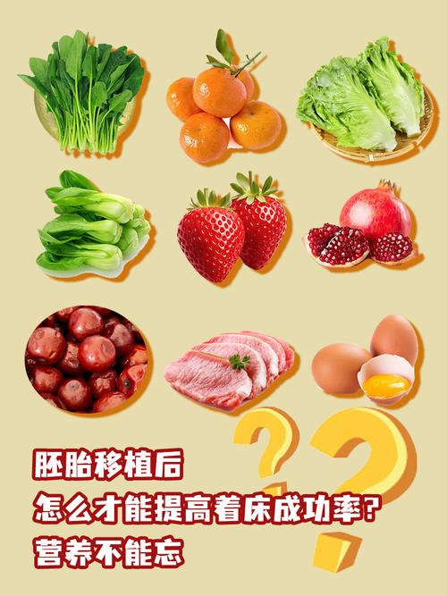 解密三级试管婴儿成功率：到底有多高？