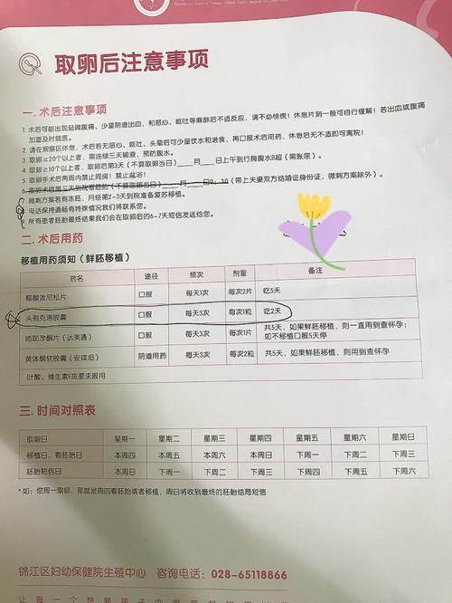 试管婴儿取9个卵正常吗？深入探讨取卵数量与成功率的关系