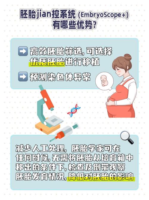  胚胎筛选

----------
【文章正文】：
<h1>试管婴儿NT检查的重要性与注意事项解析</h1>

<p>在生殖医学领域，试管婴儿技术（IVF，体外受精）为许多生育困难的家庭带来了希望。而在这一过程中，NT检查（颈项透明带测量）作为一项重要的早期筛查手段，对评估胚胎健康状况具有不可忽视的作用。今天，我们就来聊聊NT检查的重要性以及进行这项检查时需要注意的事项。</p>

<h2>NT检查的重要性</h2>

<p>NT检查是一种超声检查，主要用于评估胎儿是否有染色体异常的风险，特别是唐氏综合症