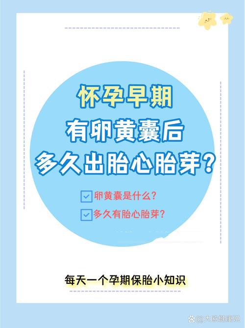 试管婴儿最迟多久可以检测到胎心？相关知识解析与注意事项