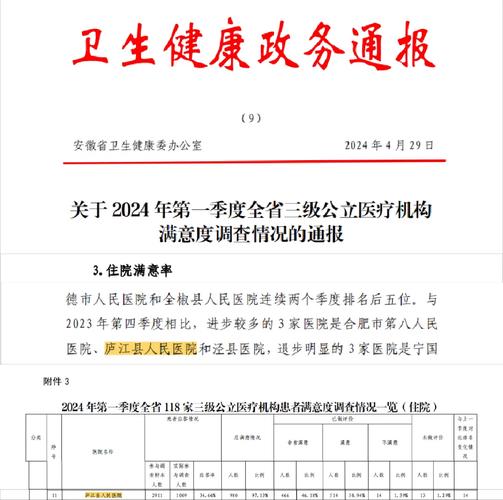  患者满意度

----------【文章正文】:----------
<h1>全面解析私立试管婴儿的优势与选择指南</h1>

<p>在面对生育难题时，许多家庭将目光转向了试管婴儿技术（IVF），希望通过这一辅助生殖技术实现生育梦想。试管婴儿技术在国内的发展日新月异，私立医院因其灵活性、个性化服务等因素，逐渐成为不少家庭的首选。本文将全面解析私立试管婴儿的优势，并提供详细的选择指南，帮助您做出更明智的决策。</p>

<h2>私立试管婴儿的优势</h2>

<h3>1. 个性化服务</h3>
<p>私立