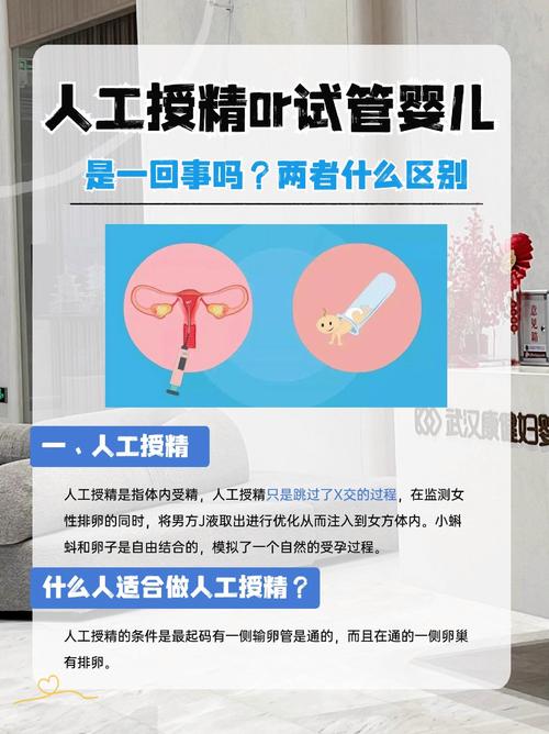 试管婴儿与胚胎移植：哪个选择更适合你？