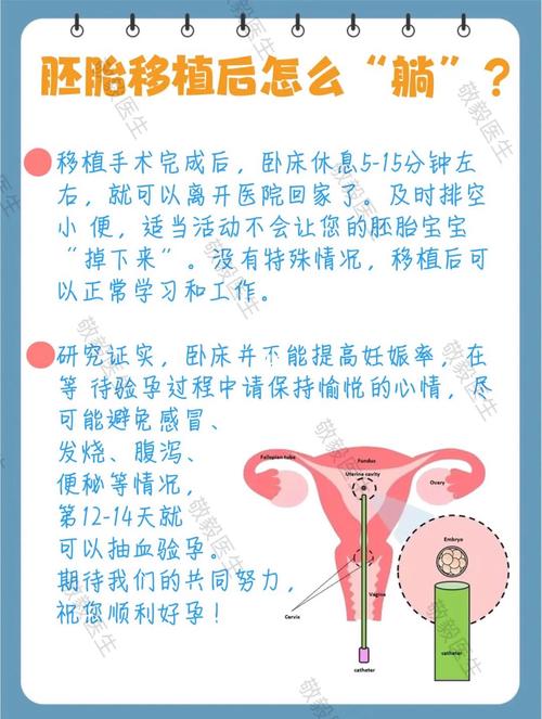 试管婴儿移植后如何正确安排睡眠？