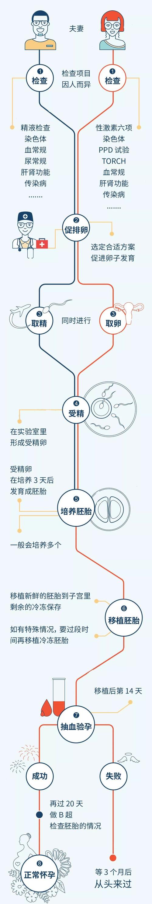 试管婴儿过程中可以选择放一个胚胎吗？