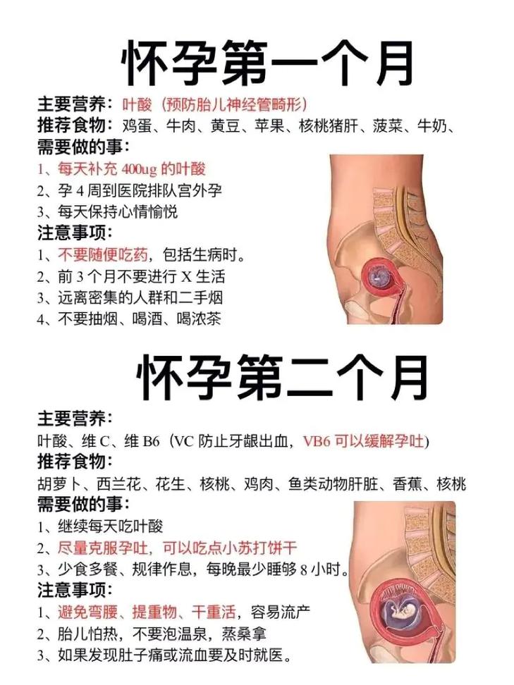  受孕经验