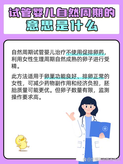 试管婴儿技术背后的秘密：胚胎是关键吗？