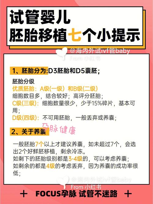 试管婴儿饮食指南：素食者如何科学养胚胎？