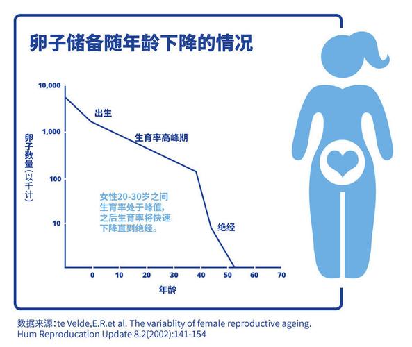  卵子数量