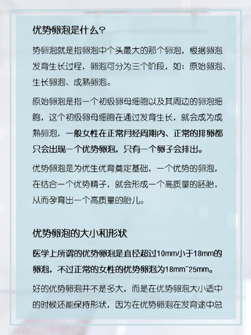 试管婴儿过程中的卵泡数量及其影响：四个卵泡意味着什么？