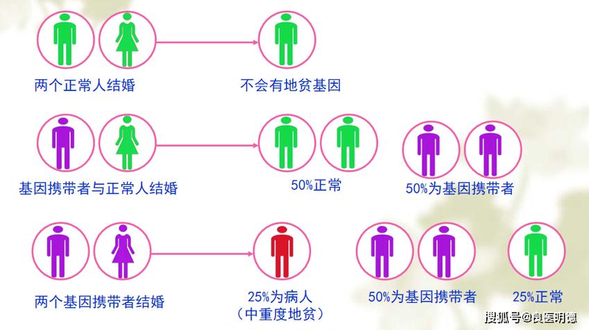 地贫患者选择第三代试管婴儿的成功率有多高？