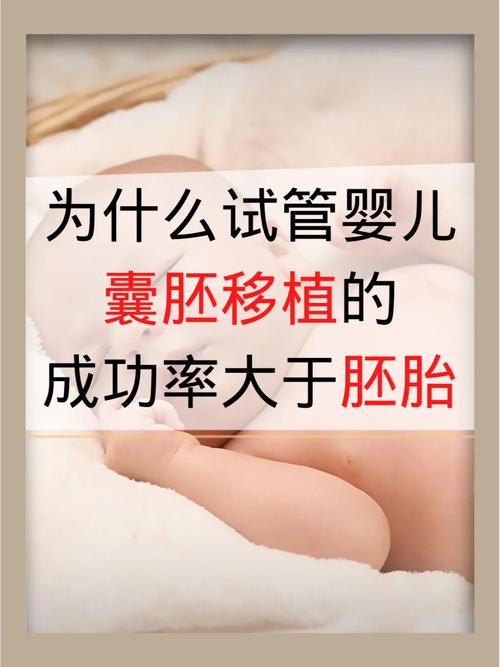 试管婴儿胚胎移植时可以选择大一点的胚胎吗？