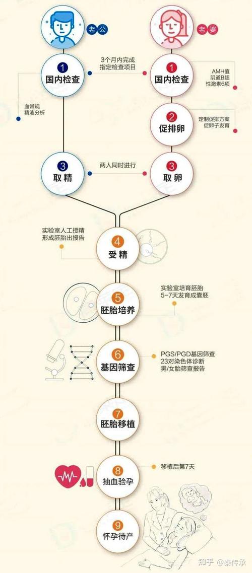 试管婴儿怀孕过程详解：大概需要多少天才能成功？