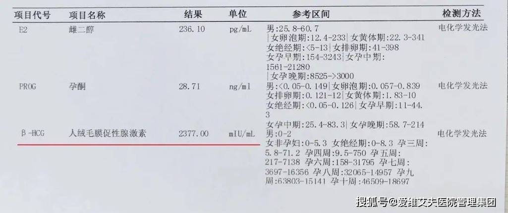 HCG 指标