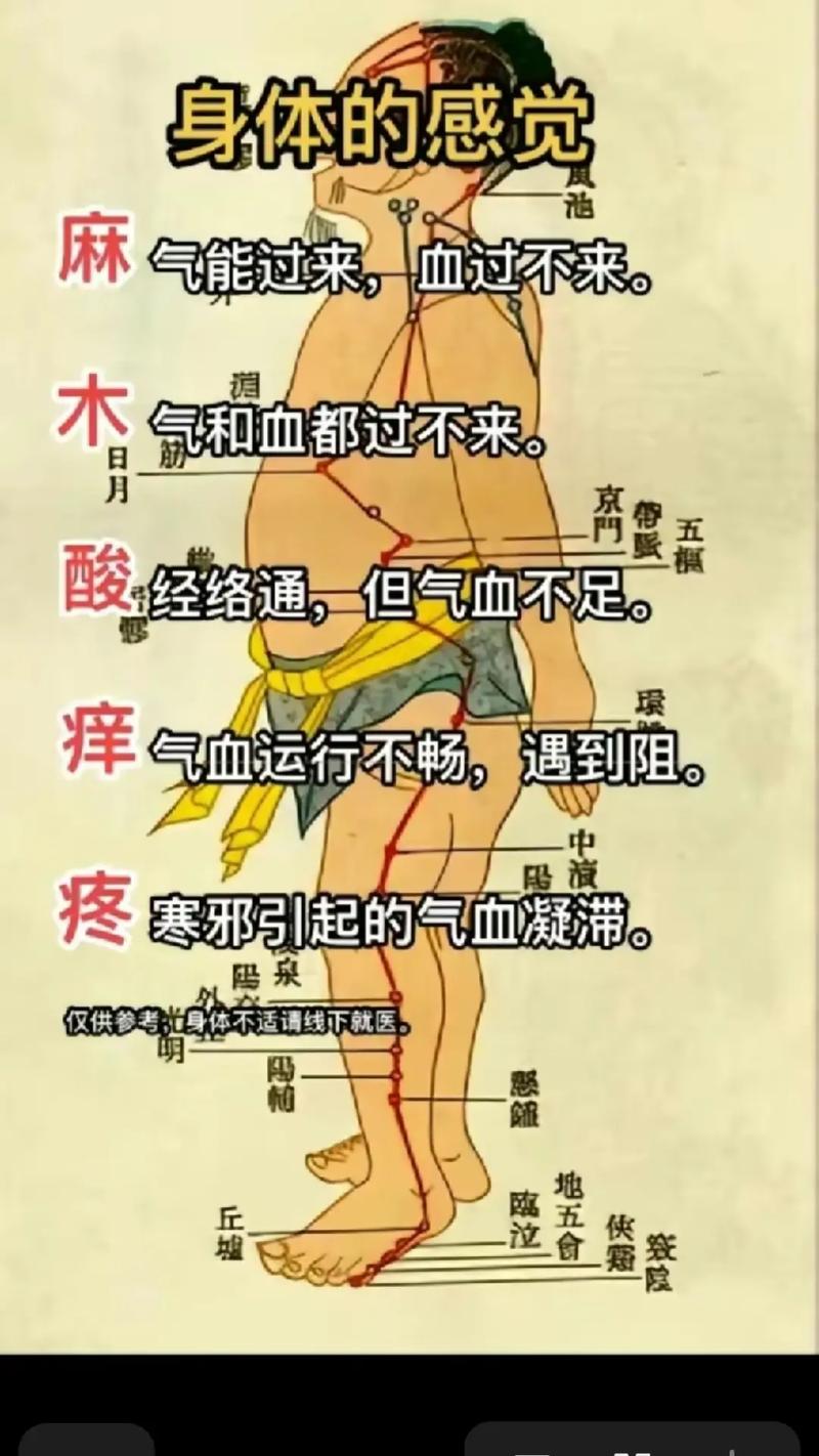 身体感觉