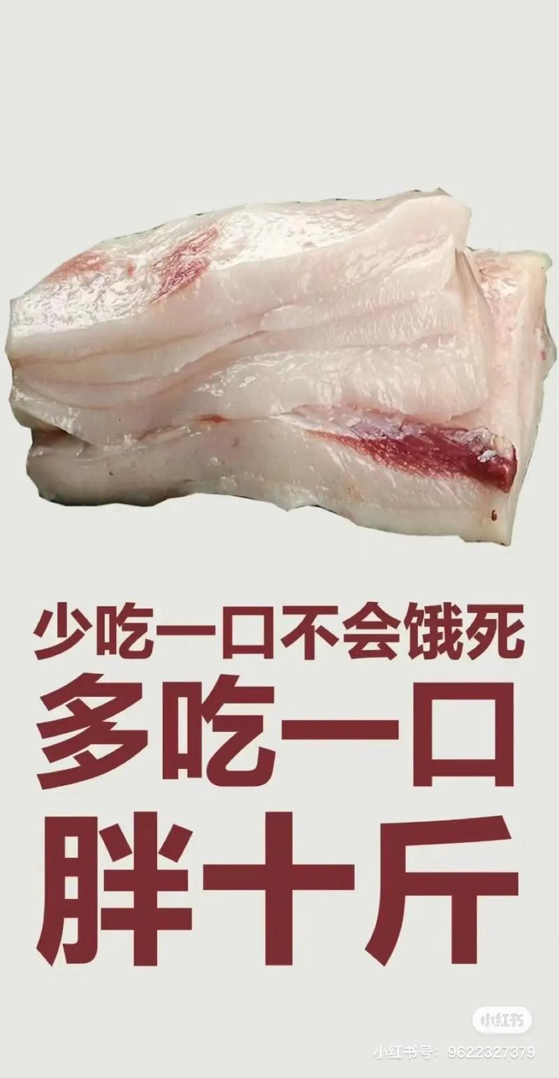  适量吃肉