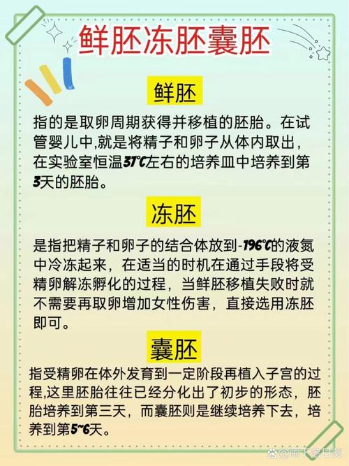 试管婴儿冷冻的囊胚究竟是发育多久的？