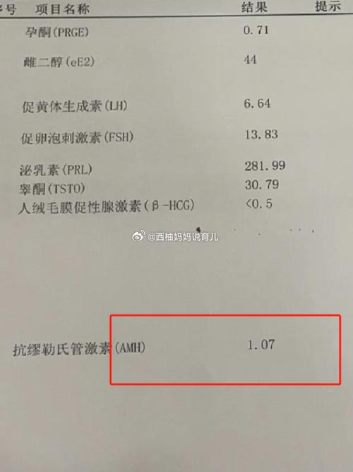 试管婴儿成功率与卵泡数量的关系：卵泡少三个会影响吗？