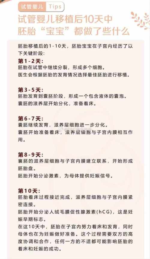 试管婴儿移植后如何合理补充维生素？