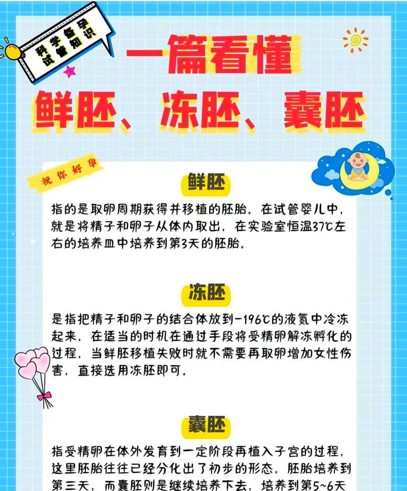 如何正确保存试管婴儿囊胚？详细方法指南