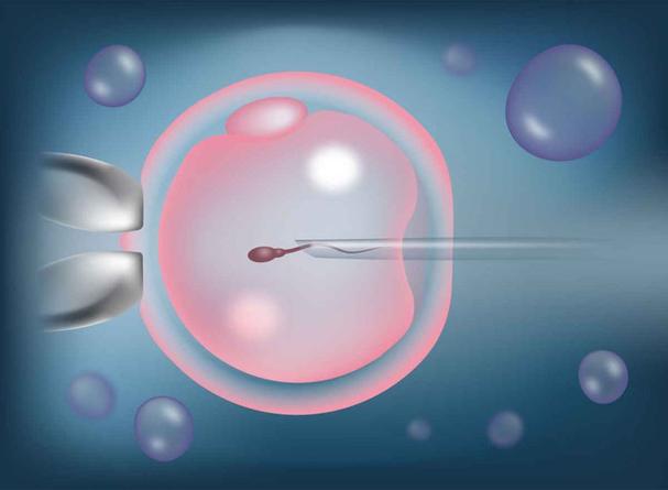 试管婴儿、秋季、生殖医疗