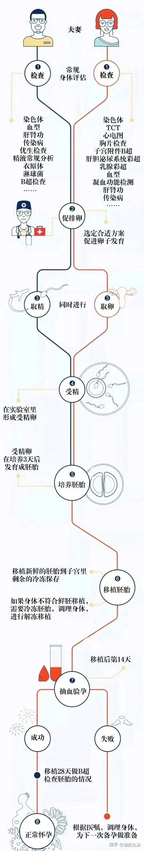 试管婴儿技术中如何选择理想的血型?