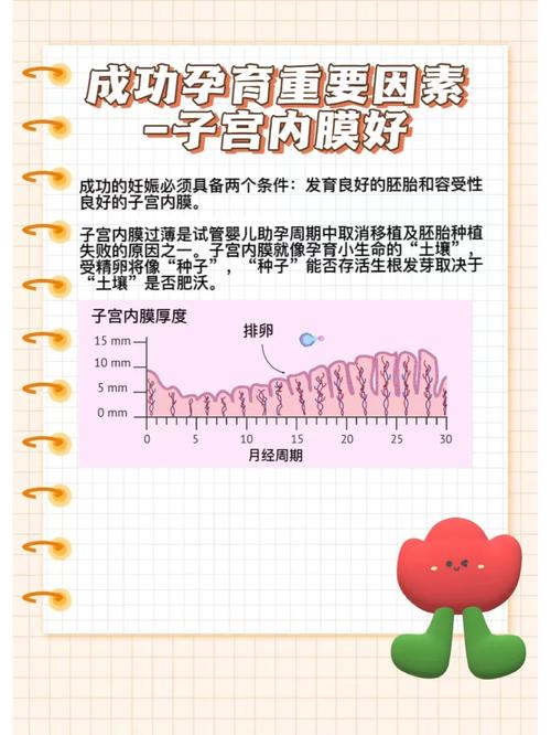 内膜薄是否会影响试管婴儿成功率？