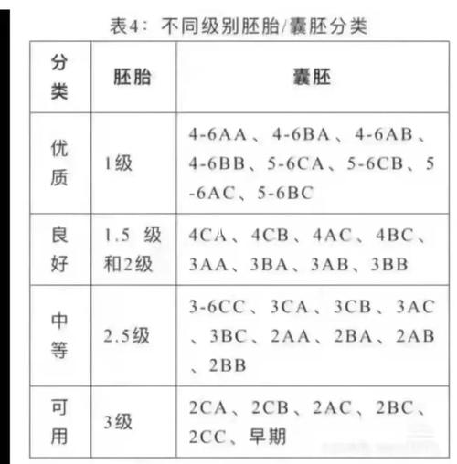 试管婴儿囊胚等级详解：如何判断囊胚质量？