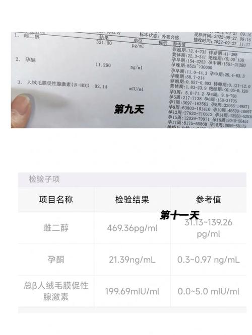 试管婴儿HCG翻倍慢时该吃什么食物最有效？