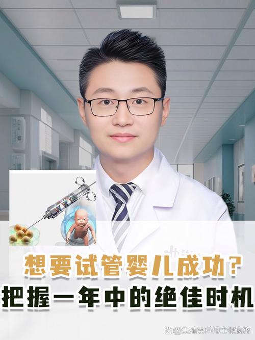 想要生双胞胎试管婴儿？揭开成功秘笈和注意事项