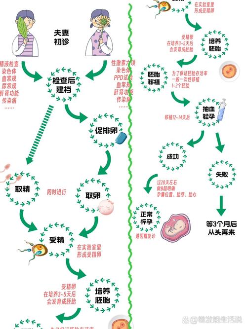 试管婴儿一代转二代