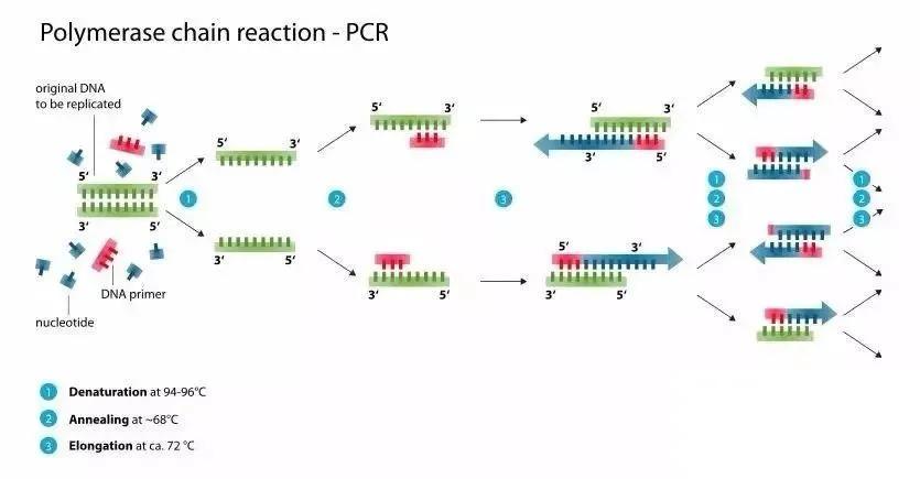 PGD 技术