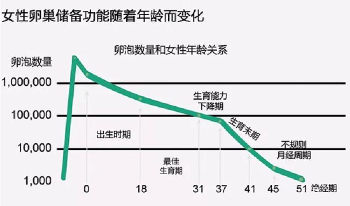 卵子成熟度