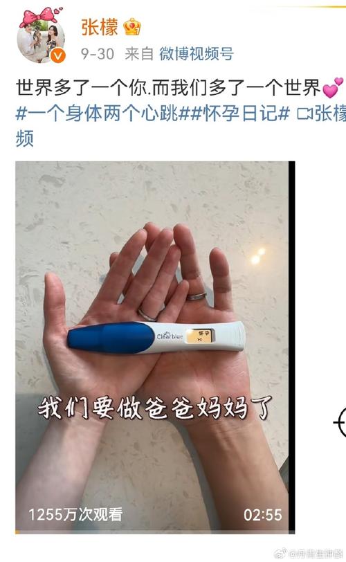 明星试管婴儿成功率揭秘：如何提高成功概率？