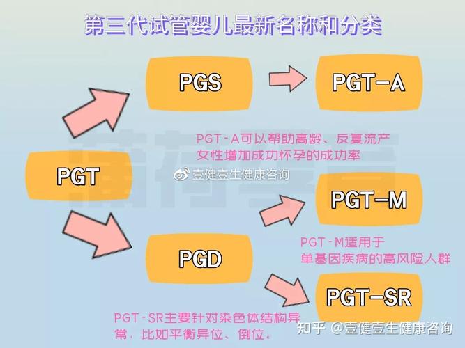 第三代试管婴儿技术选择指南：哪个更适合您？