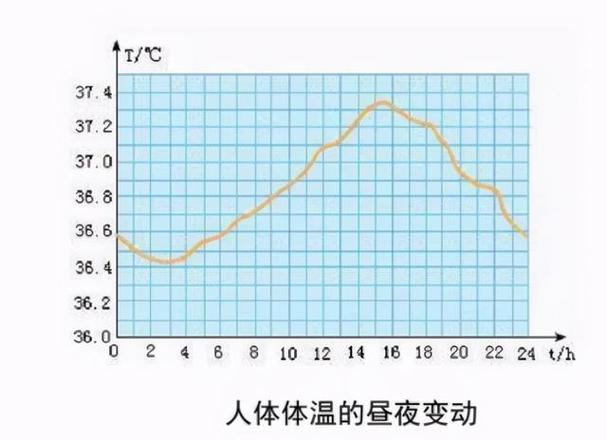  体温变化