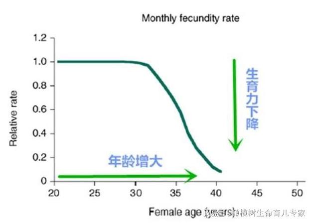 试管婴儿成功率如何计算？详解影响因素与统计方法