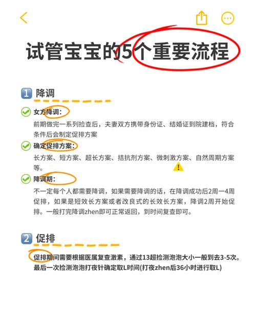 试管婴儿成功怀孕需要多久？全面解析时间周期