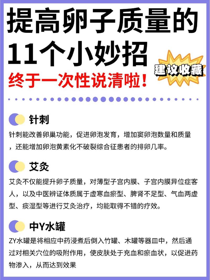 试管婴儿成功率受卵泡质量影响，如何提升自然妊娠机会？