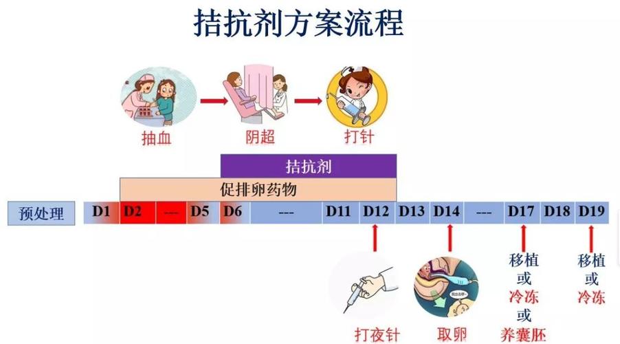 结抗剂方案