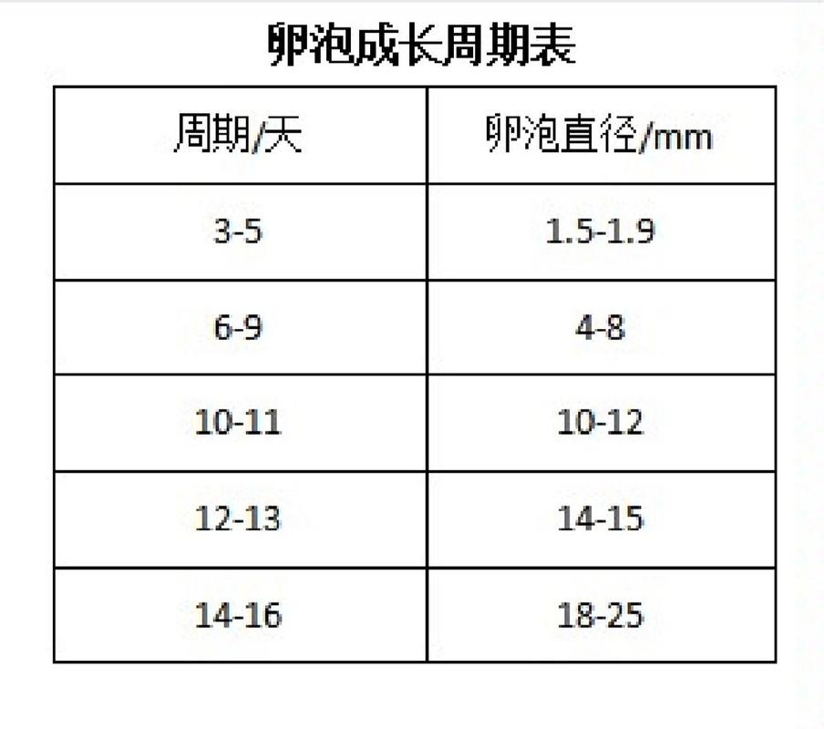 卵泡数据