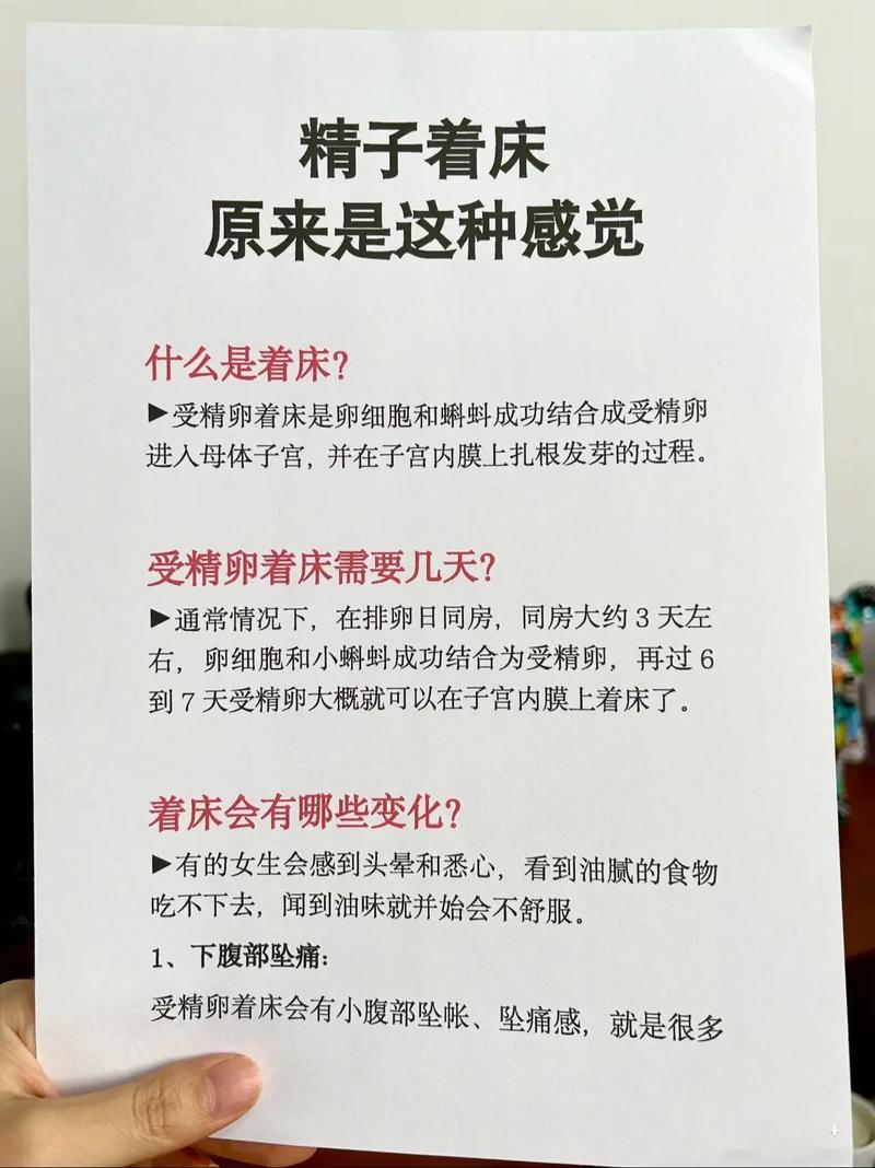 试管婴儿着床的意义：成功的标志吗？