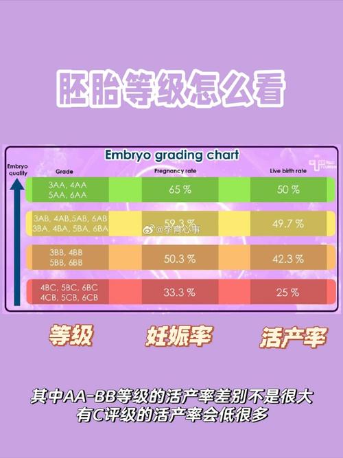 试管婴儿成功率：内膜厚度多少才算正常？