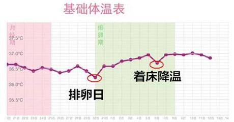 着床后变化